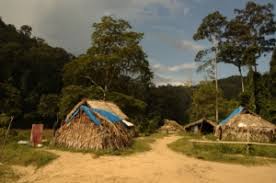 Their problems are based in large part on their. Malaysia S Orang Asli The Borgen Project