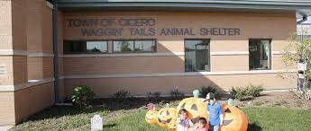 Midwest shelter for homeless · 3. Waggin Tails Animal Shelter Unveils New Location Town Of Cicero Il