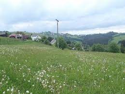 České hory » beskydy » foto: Trojmezi Cesko Slovensko Polsko Hranicni Prechod Turistika Cz