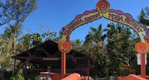 World yoga provides yoga services like bikram, pilates, prenatal yoga, yoga for beginners and exercise techniques. I Went On A Yoga Retreat And Came Back With A Buddha Belly