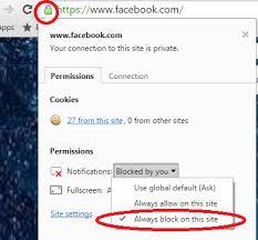 How To Block Facebook S Popup Browser Notifications In Google Chrome That Popup In The Bottom Right Corner Of Your Bro Popup Browser Blocked On Facebook Custom