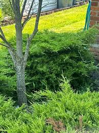 First Choice Property Contracting & Landscaping of WNY, LLC added a new... 