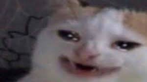 Los Mejores Memes Del Gato Llorando Porque Google Le Diagnostico Cancer Cuando no es posible comunicarse con palabras y se pretende indicar que 'todo va bien', en muchos países del mundo es frecuente levantar el pulgar hacia arriba australia, rusia y la parte occidental de áfrica tampoco ven con buenos ojos levantar los pulgares. mejores memes del gato llorando porque