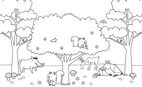 Dibujos Para Colorear Paisajes