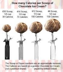 Scoop Size Matters Nutrition Education Vanilla Ice Cream