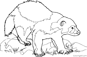 Check spelling or type a new query. Wolverine On The Grass Coloring Page Coloringall