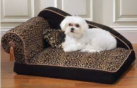 This minimalist design also comes in two colors, so it'll blend in perfectly at home. Maltese Dog Care Designer Dog Beds Cute Dog Beds Dog Beds For Small Dogs