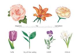 Merriam Webster Com Images Plants Gardening Plants Flower Examples Flowers Plants Flower Names Planting Flowers
