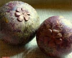 Fruits Et Legumes Mysteres Des Zoreils Au Soleil Fruits Et Legumes Fruits Les Noms Des Fruits
