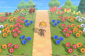 Animal Crossing New Horizons Switch Flowers And Hybrids Guide Polygon In 2020 Animal Crossing Animal Crossing Game Lily Images