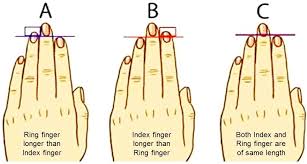 Finger Length Index Finger Ring Finger Index Finger Rings