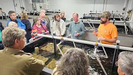 Expedition: A Tour of Ferry Cove Oyster Hatchery