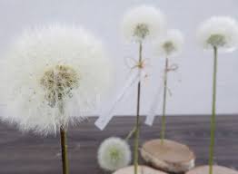 Mit Strich Und Faden Bloglovin Dandelion Spring Art Flowers