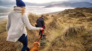Four paws has handled them all with specialized four paws pet resort kept my dog for me for the first time this past week. Pet Friendly Holidays Ni Discover Northern Ireland
