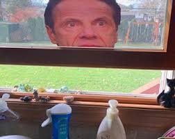 Decorate your laptops, water bottles, notebooks and windows. Cuomo Sticker Etsy