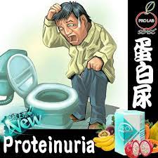 proe 酵素改善尿蛋白的腎病1 調節菌群平衡 建立黏膜免疫屏障2 促進營養物質的分解吸收 增強體質3 改善機體內環境 清除體內垃圾4 活化細胞 延緩衰老