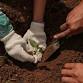 Land Recovery Series - Phytoremediation event image