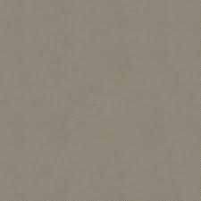 Image result for Silver Mist 1967 Chrysler