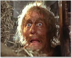 Catweazle ist eine abenteuerserie aus dem jahr 1970 mit geoffrey bayldon und charles 'bud' tingwell. Jeugdsentiment Catweazle Onderdejampotbril