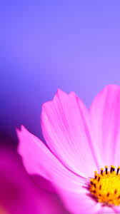 Free Wallpapers For Samsung Galaxy Group 720 1280 Free Wallpaper For Samsung Galaxy S3 Samsung Galaxy Wallpaper Samsung Wallpaper Android Galaxy S3 Wallpaper