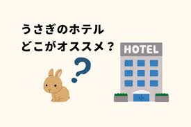 札幌のうさぎのペットホテルならゆめみるうさぎがオススメ | ウェブ制作を学ぶスピカゲ