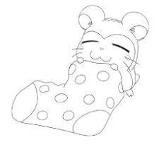 It will serve as a powerful memory building exercise. Top 25 Free Printable Hamster Coloring Pages Online