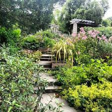 San Francisco Botanical Gardens I Spent So Much Of My Childhood Here I Grew Up Just Blocks From The Sfbg And Dream Garden Beautiful Gardens Dream Landscape