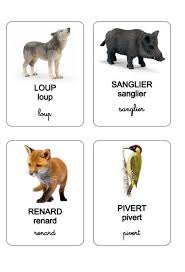 Les Animaux De La Foret Animaux Foret Animaux Foret
