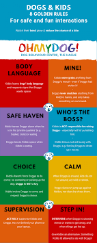 Dog Child 8 Golden Rules Ohmydog Dog Training The Hagueohmydog Dog Training The Hague