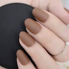Satin Glossy Color Nails Oval Short Light Brown Fake Nails Kit Super Natural Shape Nail Art Manicure Tips Perfect For Dai Fake Nails Nail Kit Nail Art Manicure