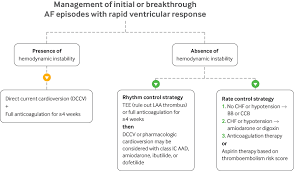 (postpositive, vulgar, slang, internet slang, text messaging) initialism of as fuck. Screening And Management Of Atrial Fibrillation In Primary Care The Bmj