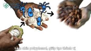 Trong trường hợp này bác sĩ có thể đề nghị người bệnh xét nghiệm máu để kiểm tra thiếu máu hoặc kiểm tra xem dấu hiệu của nhiễm trùng hay không. 2 Tháº¿ Nao La Nhiá»…m Trung Nhiá»…m Ä'á»™c Thá»±c Pháº©m An Toan Vá»‡ Sinh Thá»±c Pháº©m