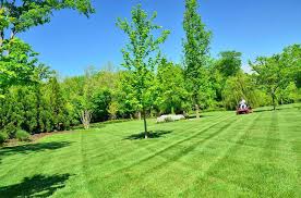 Get quotes & book instantly. Lawn Mowing Services Shamrock Landscape Company