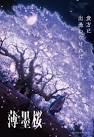 薄墨桜-GARO-