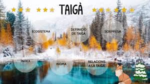 TAIGÀ by Marc Javierre Gimeno