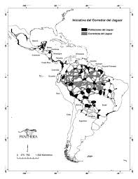 Encuentra ofertas en vuelos desde argentina a colombia! Unidades De Conservacion Del Jaguar Y Rutas De Menor Costo De Download Scientific Diagram