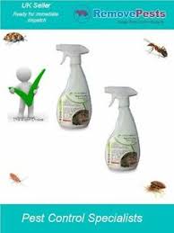 Do ultrasonic pest repellers bother pets? Silverfish Killer Ready To Use Organic Insect Pest Control Spray Safe Around Pet 5695821574035 Ebay