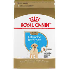 royal canin labrador retriever puppy dry dog food 30 lb