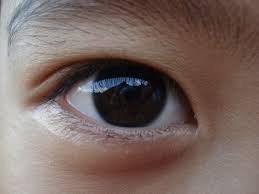 Ilmainen sanakirja on monipuolinen sanakirja netissä. Chinczyk Koreanczyk Czy Japonczyk Jak Odroznic Azjatow