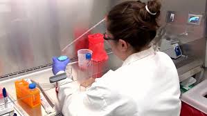 A northern ontario health unit won't be reopening with everyone else on friday. Coronavirus Health Unit In Timmins Reports 29 Covid 19 Cases Warns Of High Risk Exposure On Recent Flight Ctv News