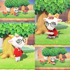 We did not find results for: Chevre Appreciation Post Animalcrossing