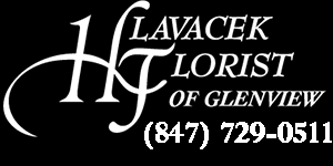 Glenview group provides iso training for managers, internal auditors, and all individuals seeking to further their knowledge of international business management practices including iso 9001, iso 14001 iso 9001 is an international quality management standard (qms) first established in 1987. About Hlavacek Florist Of Glenview Glenview Il Florist