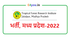 Image result for site:e4you.in mp mp van