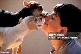 279 Ted Peck Stock Photos, High-Res Pictures, and Images