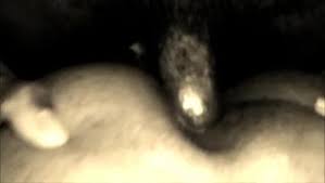 Similarly, increasing bb height, much like changing stack height, will also have a small effect on reach, although often only slight. Wet Beaver Contest Part 2 Free Xxx Porn Videos Oyoh
