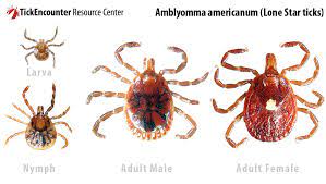 The Red Meat Allergy A Canadian Perspective Beefresearch Ca