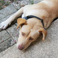 Jaysen Edwards (@jaysenedwards) • Instagram photos and videos