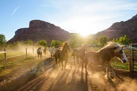 Colorado river is minutes away. Sorrel River Ranch Hotel Spa Resort A Luxury Moab Lodging Experience