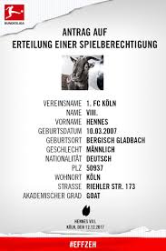 Fc köln 'ın kadın futbol , bölümünün şu anda yarışan bundesliga. 1 Fc Koln On Twitter Lange Verletztenlisten Erfordern Besondere Massnahmen Effzeh Fcbkoe