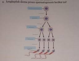 Jawaban esai uji kompetensi bab 10 ipa kelas 8 halaman 162 getaran dan gelombang ada yang tau nggak ipa kelas 8 halaman 31 32 nomor 1 10 soal materi asambasa dan garam soal ipa kelas 8 semester 1 dan kunci jawaban kurikulum 2013 1. Essay Hal 49 Ipa Kelas 9 Tolong Bantu Jawab Makasih Brainly Co Id